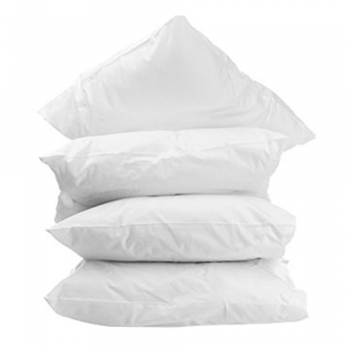 Disposable Pillows