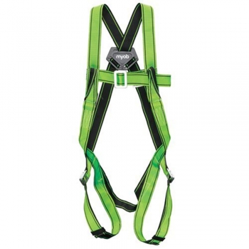 Belts and harnesses