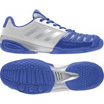 Fencing shoes or sneakers