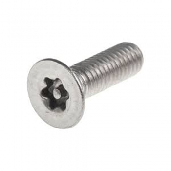 Tamper resistant screws
