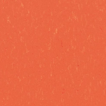 Linoleum Solid