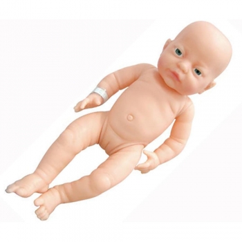 Anatomically correct doll