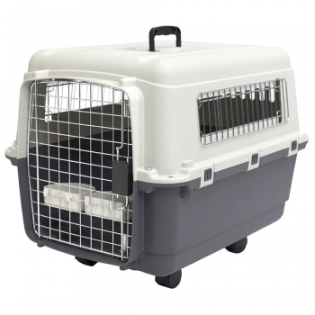 Pets Hard plastic carrier or foldable metal crate