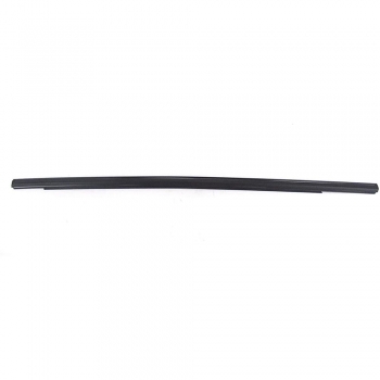 Car Beltline Moldings